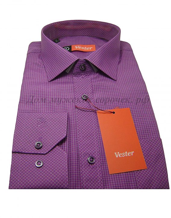 Мужская сорочка Vester фиолетового цвета, в белую клетку, с длинным рукавом